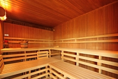 sauna2dscharf-1